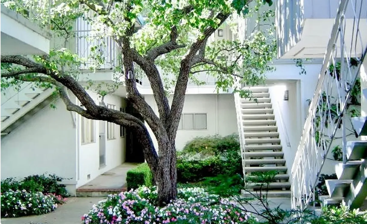 The Pines Apartments-3465 Alameda de las Pulgas, Menlo Park, CA 94025