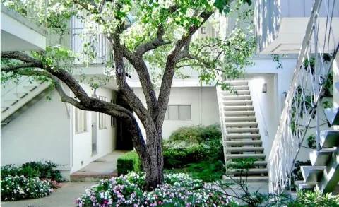 The Pines Apartments-3465 Alameda de las Pulgas, Menlo Park, CA 94025 — Menlo Park, California