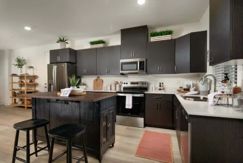 43738 Buena Vista Way, Lancaster, CA 93536 — Lancaster, California
